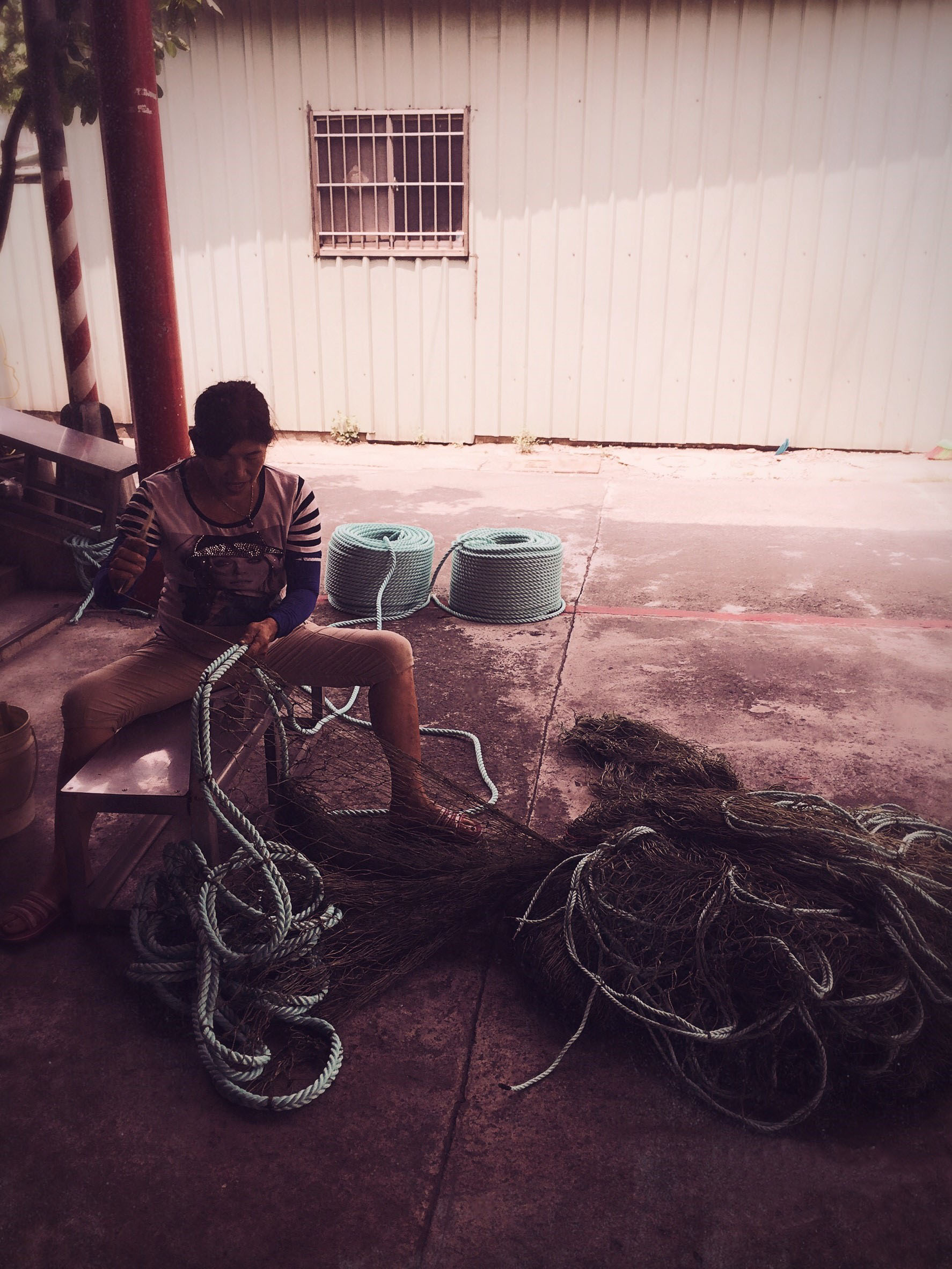 創友春網業有限公司